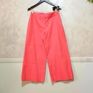 WORK TO WEEKEND SLACKS SIZE 10 IN A BEAUTIFUL COLOR